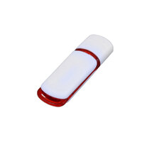 USB 2.0- флешка на 4 Гб с цветными вставками