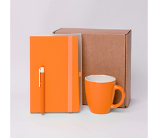 Подарочный набор JOY: блокнот, ручка, кружка, коробка, стружка; оранжевый