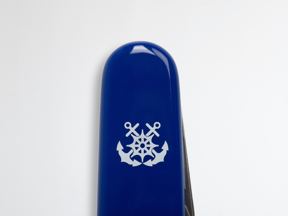 50464